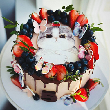 Торт "Котенок" купить - новокузнецк.сладкоежкин.рф